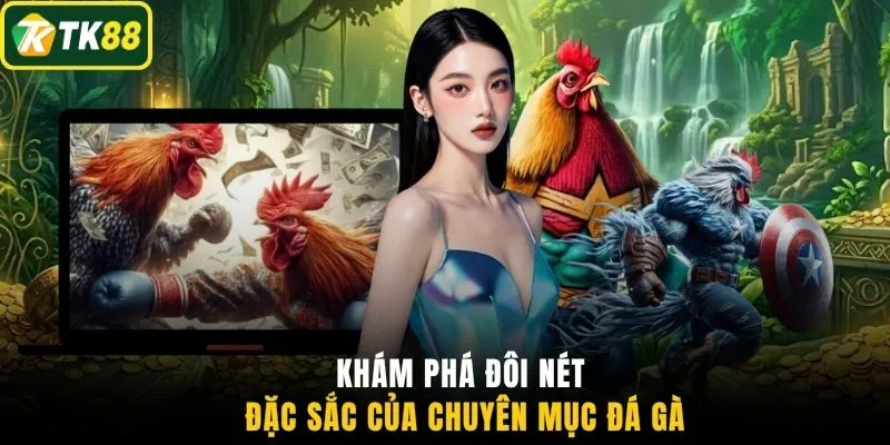 Khám phá đôi nét đặc sắc của chuyên mục đá gà