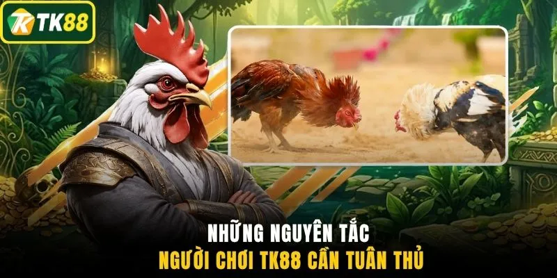 Những nguyên tắc người chơi TK88 cần tuân thủ