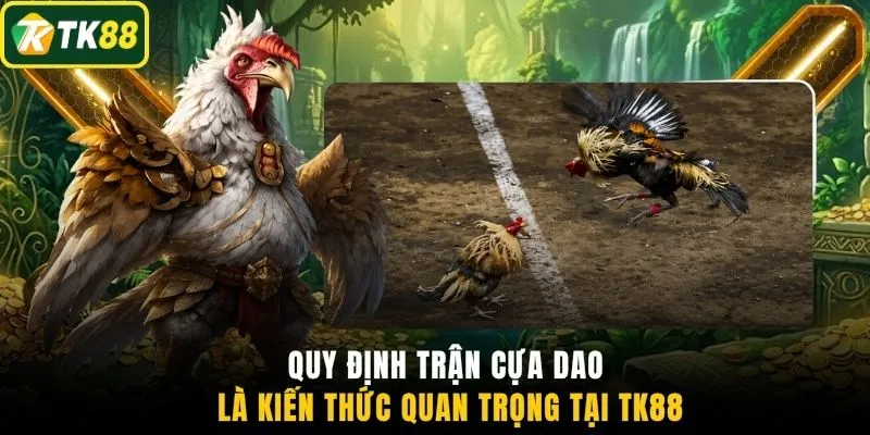 Quy định trận cựa dao là kiến thức quan trọng tại TK88