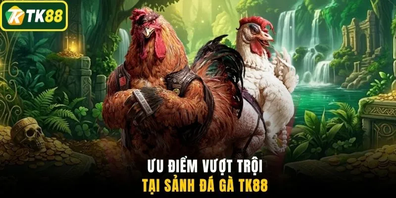 Ưu điểm vượt trội tại sảnh đá gà TK88